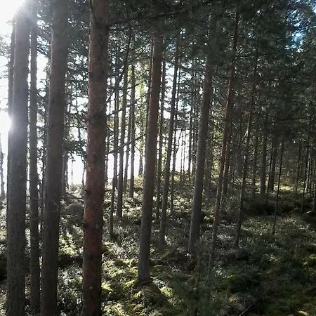 Βίλα Nina Luikonlahti