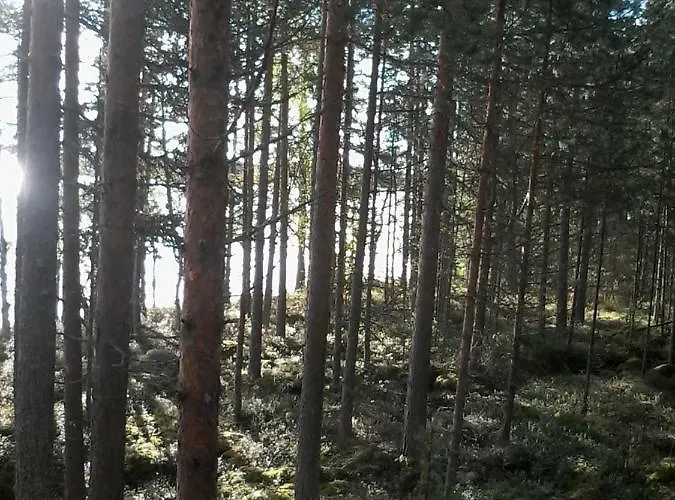 Villa Nina Luikonlahti